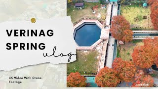 Verinag In Autunm  Mughal Garden And Spring  4K Drone Video  Know About Verinag [upl. by Ahsined]