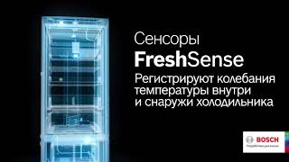 Холодильник Bosch  Технология FreshSense  Идеальные условия для хранения продуктов [upl. by Oman]