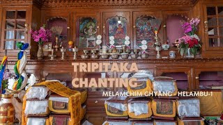 Tripitaka Chanting in Melamchim Ghyang  The Holy Book Of Buddhism  From 1st to 4th April 2024 [upl. by Anairt810]