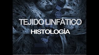 Tejido linfático  Histología [upl. by Brandice]