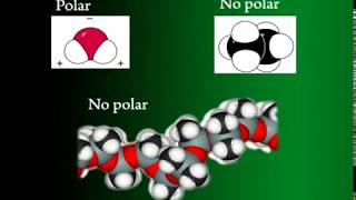 Origen y características de la química orgánica [upl. by Namielus367]