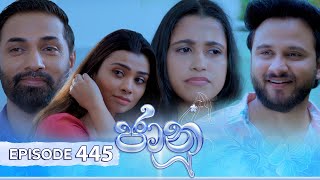 Jaanu  Episode 445  20241107  ITN [upl. by German886]