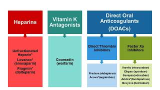 Webinar  Whats New in Anticoagulation Therapy [upl. by Byrn]