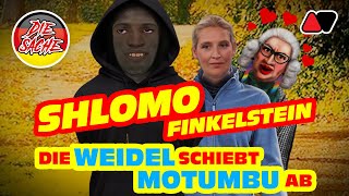 Die Weidel schiebt Mutumbu ab  Shlomo Finkelstein Video AngerVerse [upl. by Rodl]