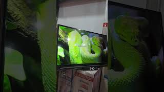 Siaran Tv 2024 SHARP 32inc Google Tv 4k [upl. by Ennayhs475]