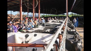 2023 Select Sires Trusted Advisors Conference Dairy Tour [upl. by Gilman]