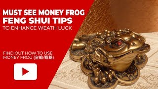 Feng Shui Tips to Place Three Legged Money Frog to Enhance Your Wealth Luck [upl. by Enneirdna]