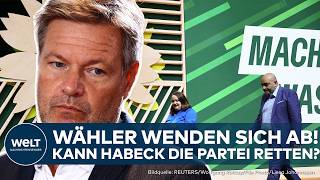 GRÜNE IN DER KRISE Wähler wenden sich ab – Von der Umweltschutzpartei zur Verbotspartei [upl. by Atiuqrahs]