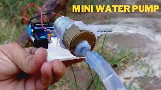 Making High Pressure Mini DIY Water Pump at Home [upl. by Huei]