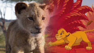 The Lion Sleeps Tonight Song Scene  The Lion King 2019 Movie clip [upl. by Nawud784]