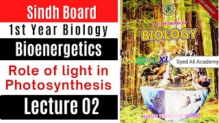 role of light in photosynthesis  bioenergetics  class 11 Biology Sindh text book board new book [upl. by Geoffrey]