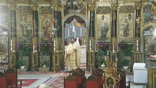 Episcopia GrecoCatolică de Oradea Live Stream [upl. by Araic]