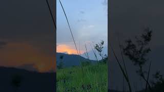 Windy Mountain  Grass Blowing in The Wind Nature Ambience  Wind [upl. by Aineval925]