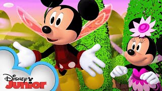 Minnies Fairy Tale  S1 E9 Part 2  Full Episode  Mickey Mouse Funhouse  disneyjr [upl. by Burrell]