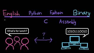 What is computer science  Intro to CS Python  LearnEcto [upl. by Agostino]