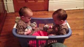 Twin Babies Talking in a Laundry Basket [upl. by Saba]