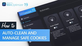 Ashampoo WinOptimizer 19  AutoClean and manage save cookies [upl. by Olrak]