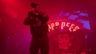 Mobb Deep Havoc amp Big Noyd LIVE  Flex Vienna Austria  2023 04 20 [upl. by Neral75]