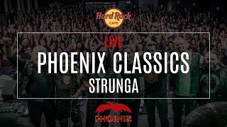 Strunga  PHOENIX  Live in Hard Rock Cafe [upl. by Akcirre]