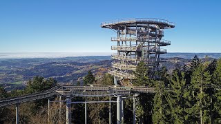 Aussichtsturm am Waldwipfelweg  Wolf System [upl. by Falo]