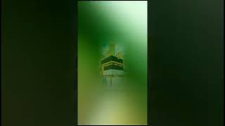 YA HABIBI YA MUHAMMAD 🕋 kaba 🕋 yahabibi 🕋 islamicvideo 🕋 shortvideo 🤲🤲 [upl. by Yak]