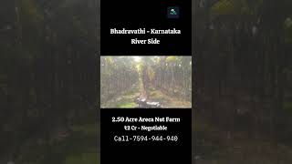 250 Acre Areca Nut Farm River Side For Sale Bhadravathi Karnataka agrifarm arecafarm agriculture [upl. by As]