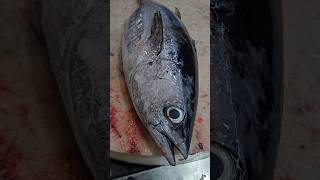 Tuna Fish Cutting Skills shfreshampfish shorts [upl. by Traci]