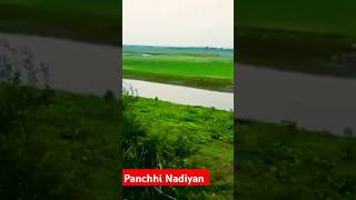 Panchi Nadiya Pawan Ke  Sonu Nigam  Alka Yagnik  Refugee shortsviralhindisongoldisgoldsong [upl. by Eelaras]