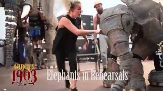 Sneak Peek of our Elephants in Rehearsal  Circus 1903 [upl. by Notnats]