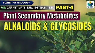 PLANTS SECONDARY METABOLITESPART4 ALKALOIDS AND GLYCOSIDES CSIR NET [upl. by Naltiak671]