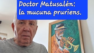 MÚCUNA PRURIENS EFICAZ EN PARKINSON SUSCRÍBETE A DOCTOR MATUSALÉN [upl. by Zsolway]