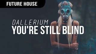 Dallerium  Youre Still Blind [upl. by Cnut599]