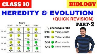 HEREDITY AND EVOLUTION CLASS 10 CBSE PART2 [upl. by Neom239]