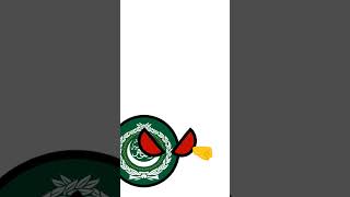 L Israel Palestine forever viral countryballs انميشندول لايك arabic freepalestine اكسبلور [upl. by Nedlog]