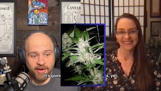 Hermaphrodite Cannabis Plants  Janna Champagne [upl. by Jerrilee420]