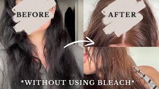 Removing Permanent Black Box Dye WITHOUT BLEACH at Home DIY Colour Remover REVIEW [upl. by Christen]