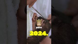 Mejores estilos de barba 2024 🧔🏻Prepárate HOY [upl. by Analem]