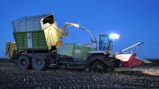 Claas Jaguar 900 FS on tracks  night  Loonwerken De Bruyne  mais 2013 [upl. by December]