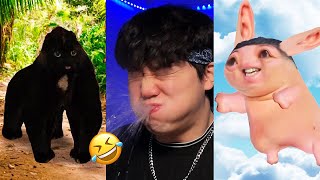 BEST JeffreyX Funny Try Not To Laugh Challenge Compilation 🤣 2024 Part 10 [upl. by Ragen448]