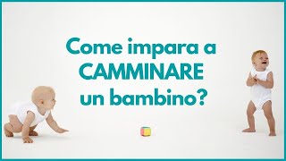 Primi Passi Neonato  Come aiutare il bambino a Camminare [upl. by Ettenig337]