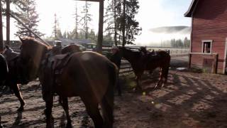 The Guest Ranch Experience  British Columbia Canada [upl. by Adla171]