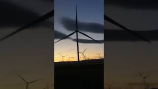 Wind fan 😲 nature shorts youtubeshorts subscribe [upl. by Press]