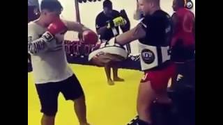 Treino de Muay thai com equipamentos lima fighter [upl. by Slade636]