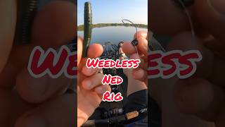 How To Hook Up a Weedless Ned Rig [upl. by Prentiss]