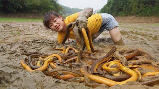 Catch eels underground How to find eels underground  Harvest eels go to the village sell [upl. by Stanislaw837]