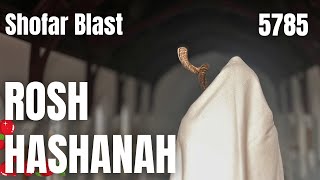 ROSH HASHANAH  5785  2024  SHOFAR BLOWING  NEW YEAR BLESSING [upl. by Lebatsirc]