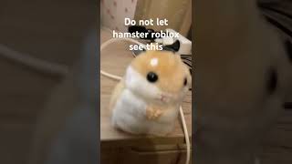 Don’t let hamsterinroblox see this [upl. by Garner]