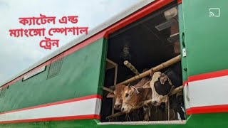 ক্যাটেল এন্ড ম্যাংঙ্গো স্পেশাল ট্রেনbdrailway bdrailfan padmarail [upl. by Esenwahs822]