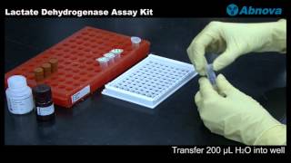 Lactate Dehydrogenase Assay Kit [upl. by Weitman955]