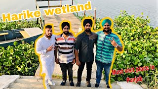 Harike wetland a must visit place in Punjab vlog  ਹਰੀਕੇ [upl. by Olwen]